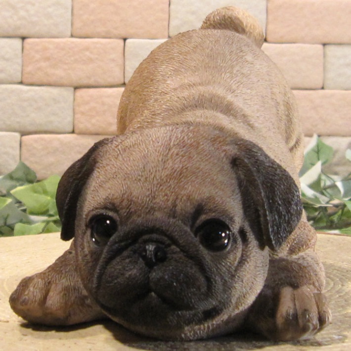 ������ʪ���ѥ����ꥢ��ʤ��̤���ʪ���ΤӤΤӡ��ɥ����ȥåѡ������̤Υ��֥�����Ź�ޡ������������󥿡��������ǥ˥󥰡��٥���������