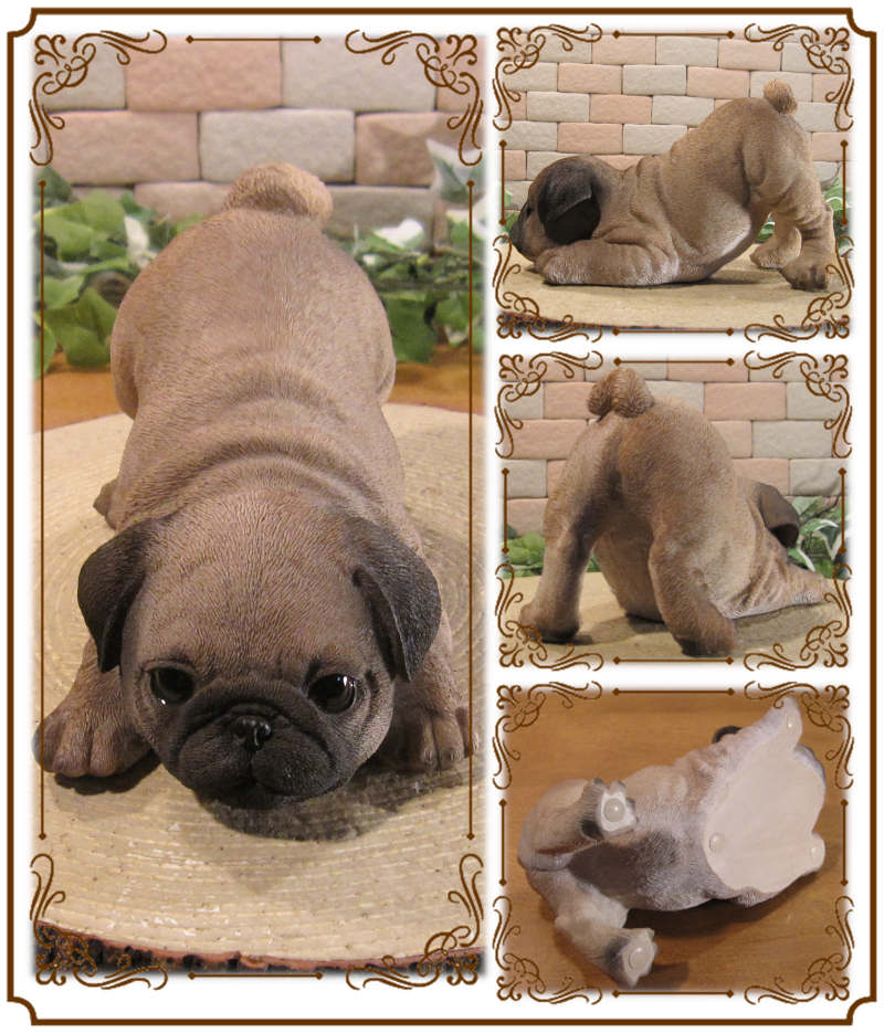 ������ʪ���ѥ����ꥢ��ʤ��̤���ʪ���ΤӤΤӡ��ɥ����ȥåѡ������̤Υ��֥�����Ź�ޡ������������󥿡��������ǥ˥󥰡��٥���������