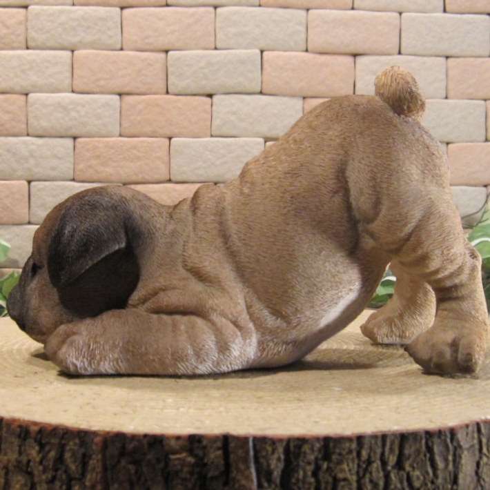 ������ʪ���ѥ����ꥢ��ʤ��̤���ʪ���ΤӤΤӡ��ɥ����ȥåѡ������̤Υ��֥�����Ź�ޡ������������󥿡��������ǥ˥󥰡��٥���������