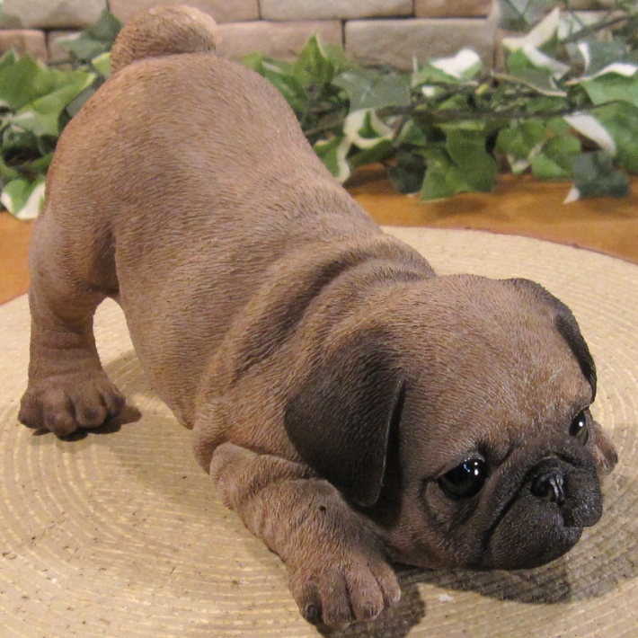 ������ʪ���ѥ����ꥢ��ʤ��̤���ʪ���ΤӤΤӡ��ɥ����ȥåѡ������̤Υ��֥�����Ź�ޡ������������󥿡��������ǥ˥󥰡��٥���������