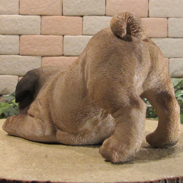 ������ʪ���ѥ����ꥢ��ʤ��̤���ʪ���ΤӤΤӡ��ɥ����ȥåѡ������̤Υ��֥�����Ź�ޡ������������󥿡��������ǥ˥󥰡��٥���������