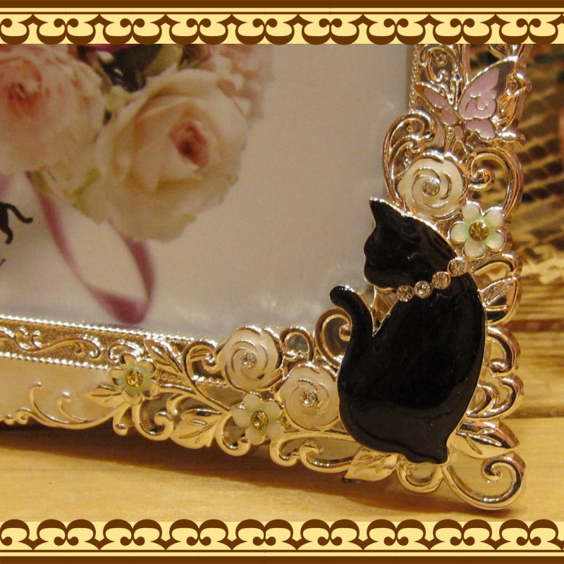 �ե졼���Ʃ�������ͤ����쥬��ȡ��Х�ȹ�ǭ������դΥե��ȥե졼�ࡡ�������ͥ��ȥ�����