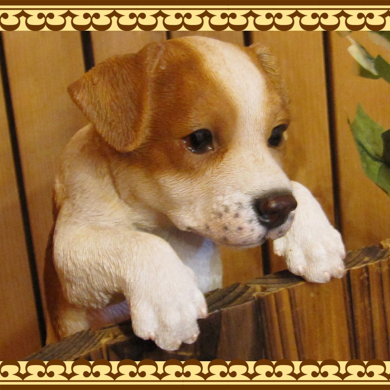 ���������Υ���ƥꥢ�ˤ����Υ����ʥ��ȤȤ��Ƥ�����ꥢ��ʸ�����ʪ���֤餵���ꥸ��å���å���ƥꥢ�����̤Υե�����