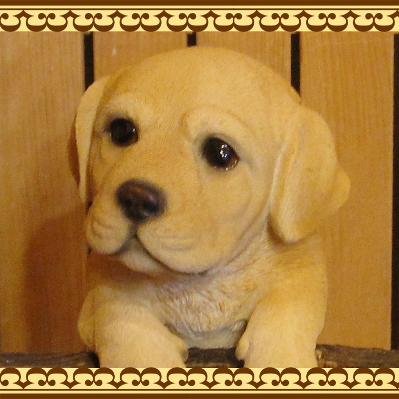 ��֥�ɡ����ȥ�С������ꥢ��ʸ�����ʪ���֤餵����ɥå������̤Υե��������������Υ���ƥꥢ�ˤ����Υ����ʥ��ȤȤ��Ƥ��