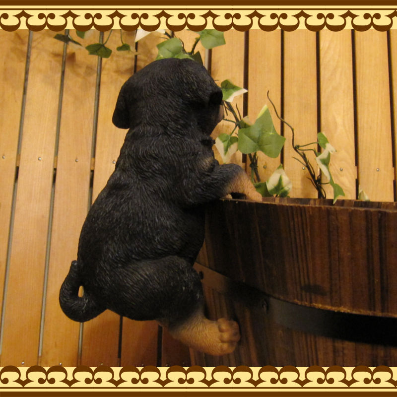 ���������Υ���ƥꥢ�ˤ����Υ����ʥ��ȤȤ��Ƥ�����ꥢ��ʸ�����ʪ���֤餵������åȥ磻�顼�����̤Υե�����