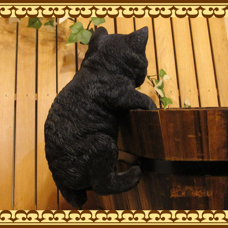 ���������Υ���ƥꥢ�ˤ����Υ����ʥ��ȤȤ��Ƥ�����ꥢ��ʻҥͥ�����ʪ���֤餵����٥ӡ�����å� �֥�å����Ҥͤ��Υե�����