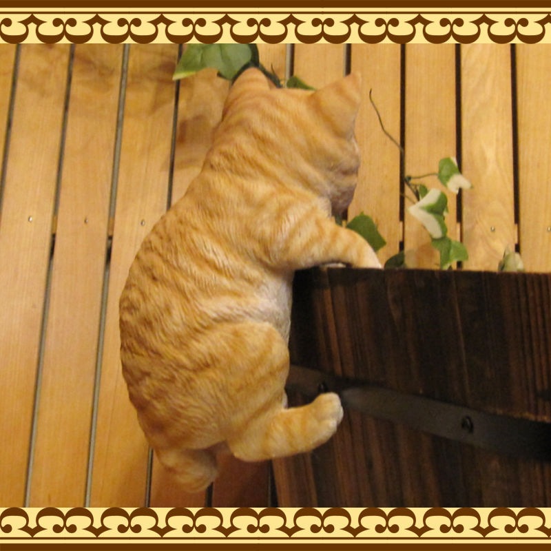 ���������Υ���ƥꥢ�ˤ����Υ����ʥ��ȤȤ��Ƥ�����ꥢ��ʻҥͥ�����ʪ���֤餵����٥ӡ�����å� �Ȥ顡�Ҥͤ��Υե�����