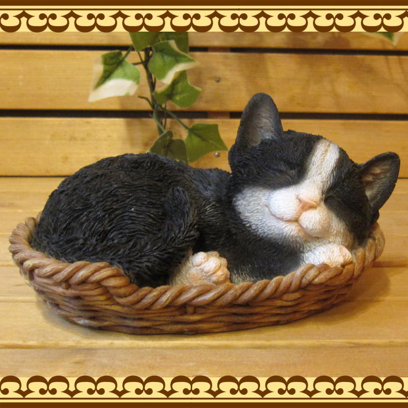 ���������Υ���ƥꥢ�˥����ǥ˥󥰤��Ǻ�ˤˡ��ꥢ��ʻ�ǭ����ʪ���쥸�������Х����åȥ���åȡ�Ȭ��졡�ҥͥ��Υե�����