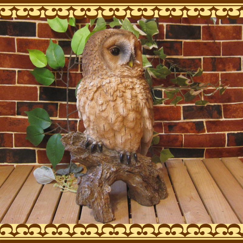 ΥƥꥢˤΥʥȤȤƤ礭ƥꥢĻʪդ¥סեΥե