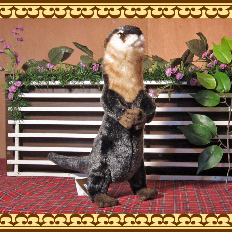 ���臘���������ף¡��ꥢ��ʥ��復���Τ̤������