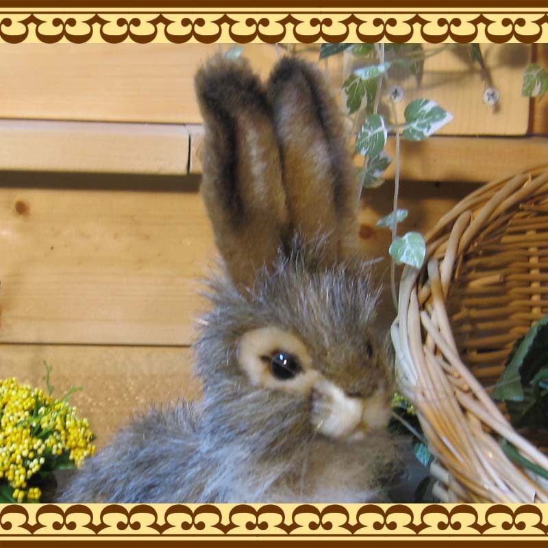 ���������������������ס��ꥢ��ʤ������Τ̤�����ߡ�