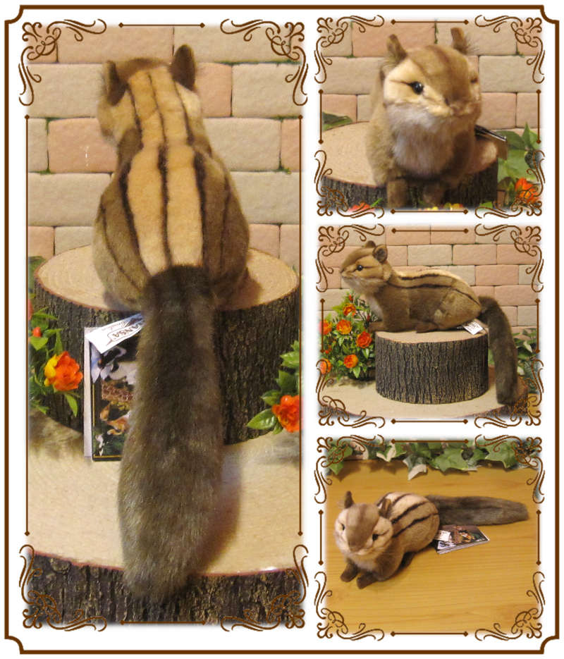 ���ޥꥹ���������ס��ꥹ����ʪ �ꥢ��� �ꤹ�Τ̤������  ���֥��� ���� ����ƥꥢ ��դ��