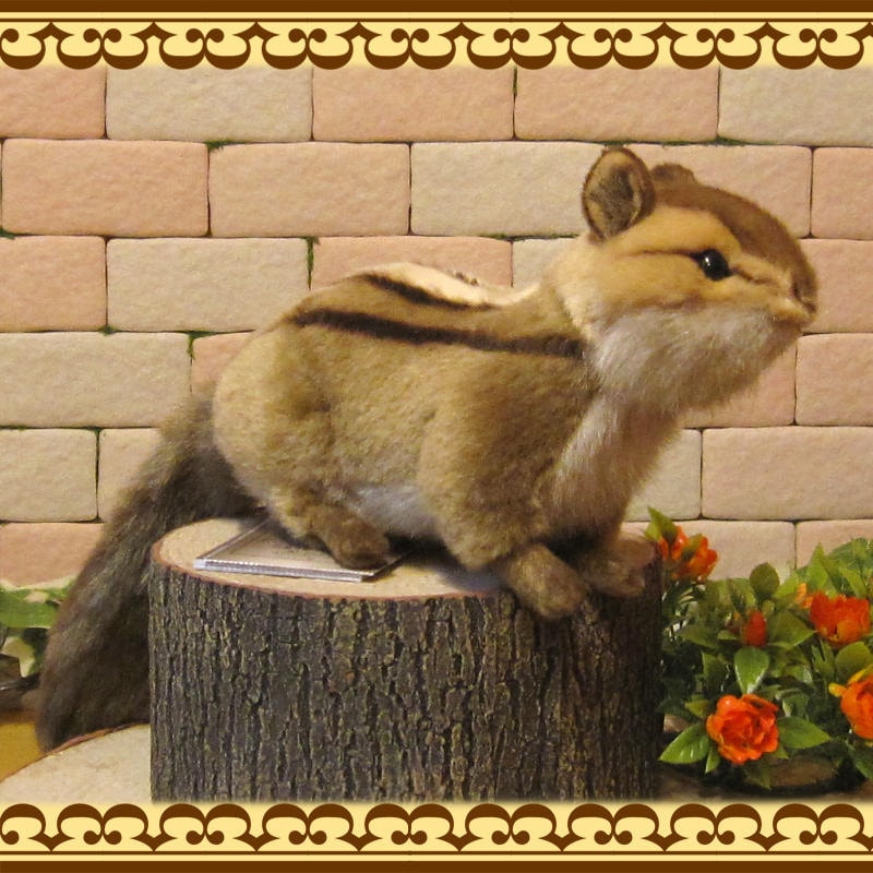 ���ޥꥹ���������ס��ꥹ����ʪ �ꥢ��� �ꤹ�Τ̤������  ���֥��� ���� ����ƥꥢ ��դ��