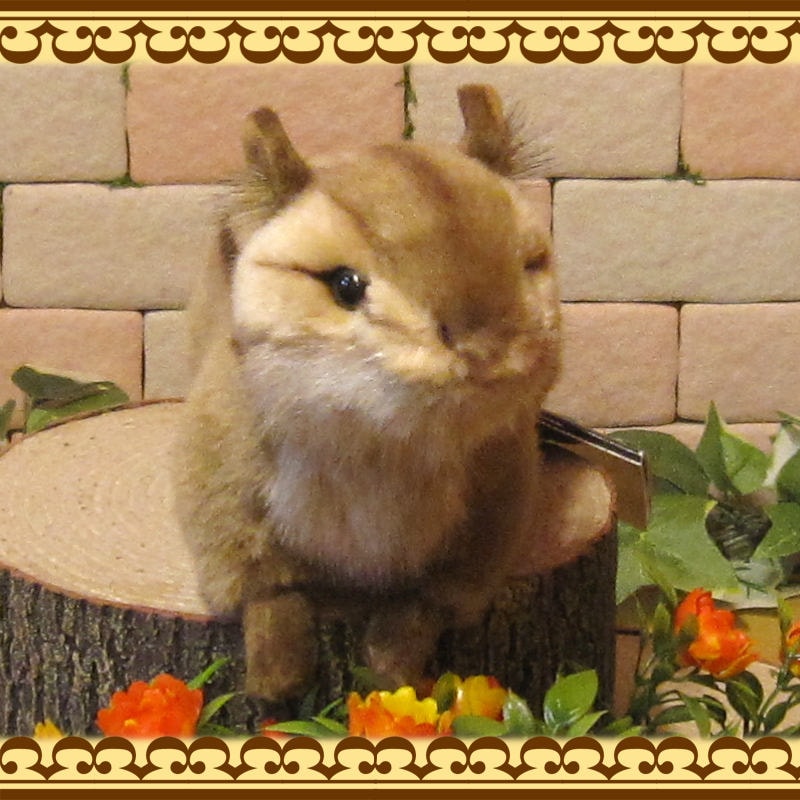 ���ޥꥹ���������ס��ꥹ����ʪ �ꥢ��� �ꤹ�Τ̤������  ���֥��� ���� ����ƥꥢ ��դ��