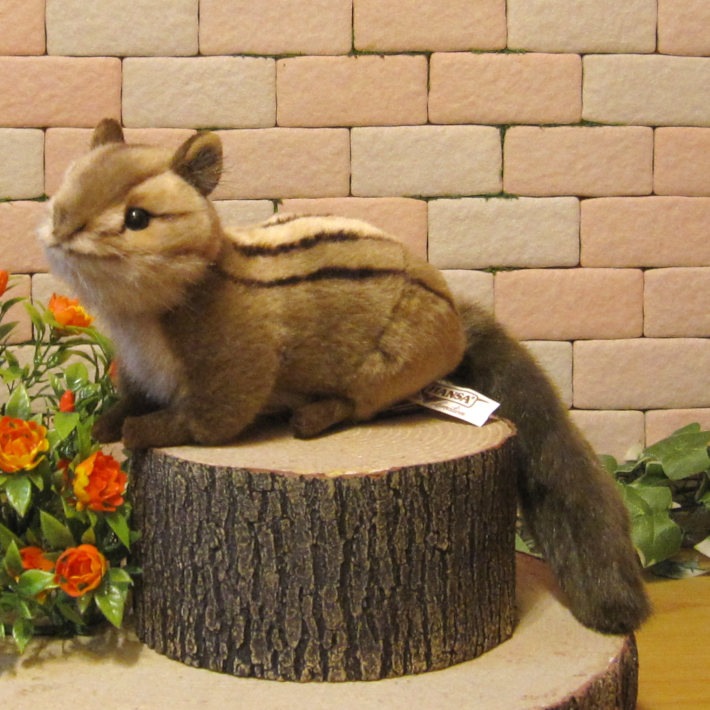 ���ޥꥹ���������ס��ꥹ����ʪ �ꥢ��� �ꤹ�Τ̤������  ���֥��� ���� ����ƥꥢ ��դ��