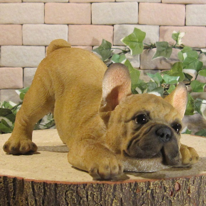 ʪե֥ɥåꥢʤ̤ʪΤӤΤӡɥȥåѡե֥롡̤Υ֥Źޡ󥿡ǥ˥󥰡٥