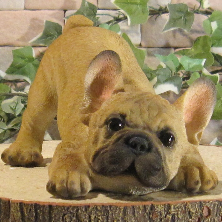 ʪե֥ɥåꥢʤ̤ʪΤӤΤӡɥȥåѡե֥롡̤Υ֥Źޡ󥿡ǥ˥󥰡٥