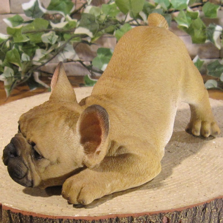 ʪե֥ɥåꥢʤ̤ʪΤӤΤӡɥȥåѡե֥롡̤Υ֥Źޡ󥿡ǥ˥󥰡٥