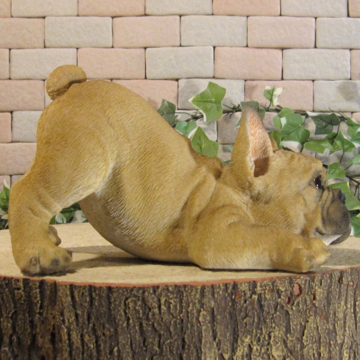 ʪե֥ɥåꥢʤ̤ʪΤӤΤӡɥȥåѡե֥롡̤Υ֥Źޡ󥿡ǥ˥󥰡٥