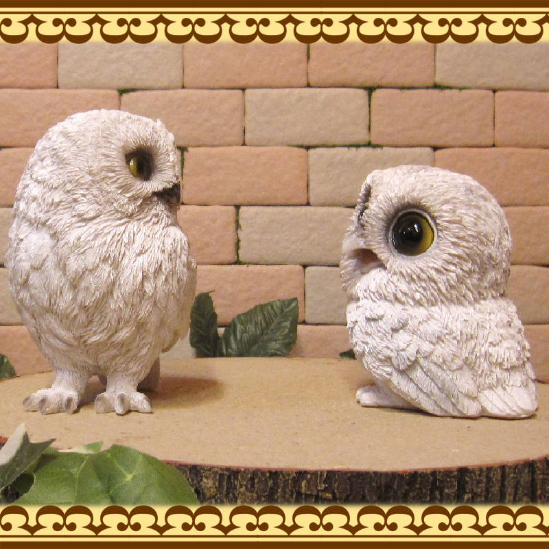 ꥢʥեʪդƻҡΥåȡ桡롡ﵯʪ֥ΥƥꥢˤΥʥȤȤƤ