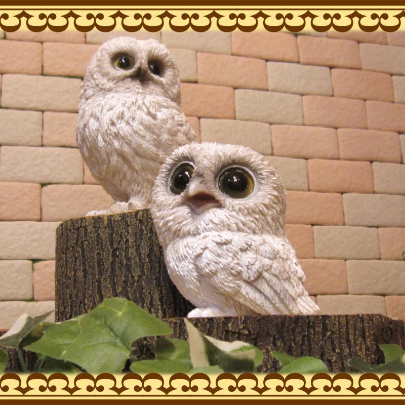 ꥢʥեʪդƻҡΥåȡ桡롡ﵯʪ֥ΥƥꥢˤΥʥȤȤƤ