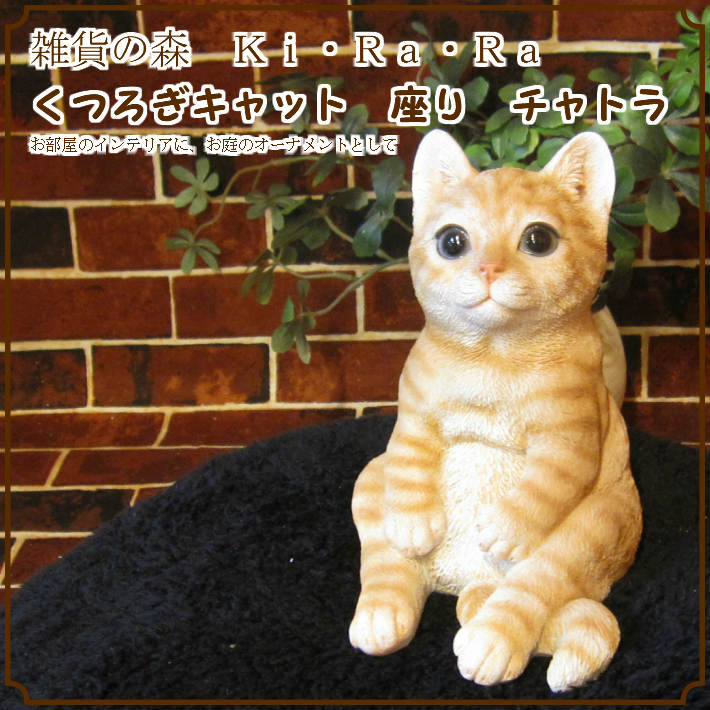 ǭ����ʪ���İ����ͥ��Υ��֥��������Ĥ�������åȡ����¤ꡡ��ȥ顡�쥸�����ͤ��Υե������������ǥ󡡸�����