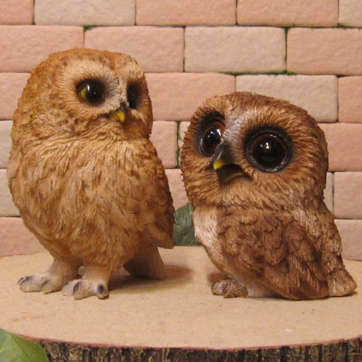 �ꥢ��ʥե���������ʪ���դ��������ƻҡ����Υ��åȡ�������Ȣ̵�����桡�����롡�ﵯʪ�����֥��������������Υ���ƥꥢ�ˤ����Υ����ʥ��ȤȤ��Ƥ�