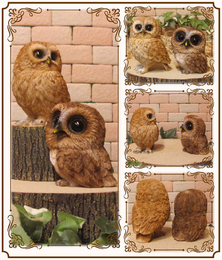 �ꥢ��ʥե���������ʪ���դ��������ƻҡ����Υ��åȡ�������Ȣ̵�����桡�����롡�ﵯʪ�����֥��������������Υ���ƥꥢ�ˤ����Υ����ʥ��ȤȤ��Ƥ�