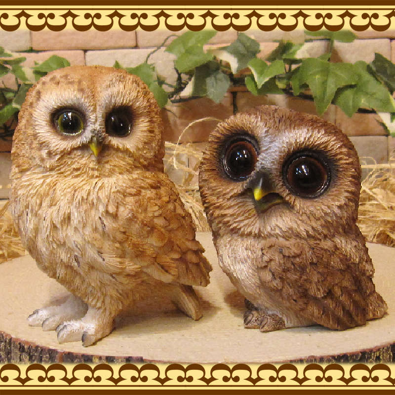 �ꥢ��ʥե���������ʪ���դ��������ƻҡ����Υ��åȡ�������Ȣ̵�����桡�����롡�ﵯʪ�����֥��������������Υ���ƥꥢ�ˤ����Υ����ʥ��ȤȤ��Ƥ�