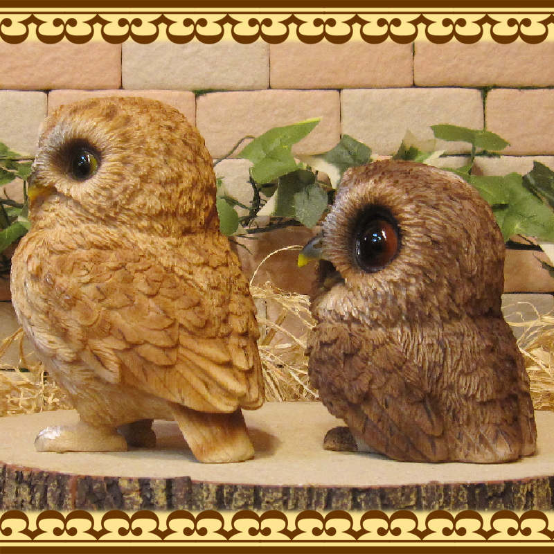 �ꥢ��ʥե���������ʪ���դ��������ƻҡ����Υ��åȡ�������Ȣ̵�����桡�����롡�ﵯʪ�����֥��������������Υ���ƥꥢ�ˤ����Υ����ʥ��ȤȤ��Ƥ�