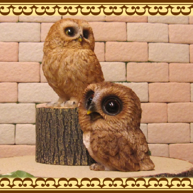 �ꥢ��ʥե���������ʪ���դ��������ƻҡ����Υ��åȡ�������Ȣ̵�����桡�����롡�ﵯʪ�����֥��������������Υ���ƥꥢ�ˤ����Υ����ʥ��ȤȤ��Ƥ�