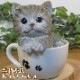 �ꥢ��ʥͥ�����ʪ���٥ӡ�����åȡ��ƥ������åץ���åȡ����졼���Ҥͤ��Υե������������ǥ˥󥰡����֥�����������
