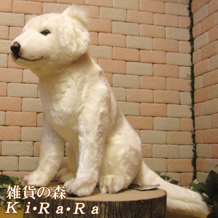 �̳�ƻ�����ӥå����������ꥢ��ʸ��Τ̤�����ߡ��ɥå����֥��������̤���ʪ�����̤Υե����奢������ƥꥢ���ۥå����ɥ�����