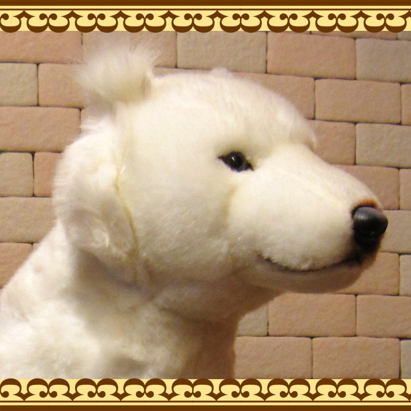 �̳�ƻ�����ӥå����������ꥢ��ʸ��Τ̤�����ߡ��ɥå����֥��������̤���ʪ�����̤Υե����奢������ƥꥢ���ۥå����ɥ�����