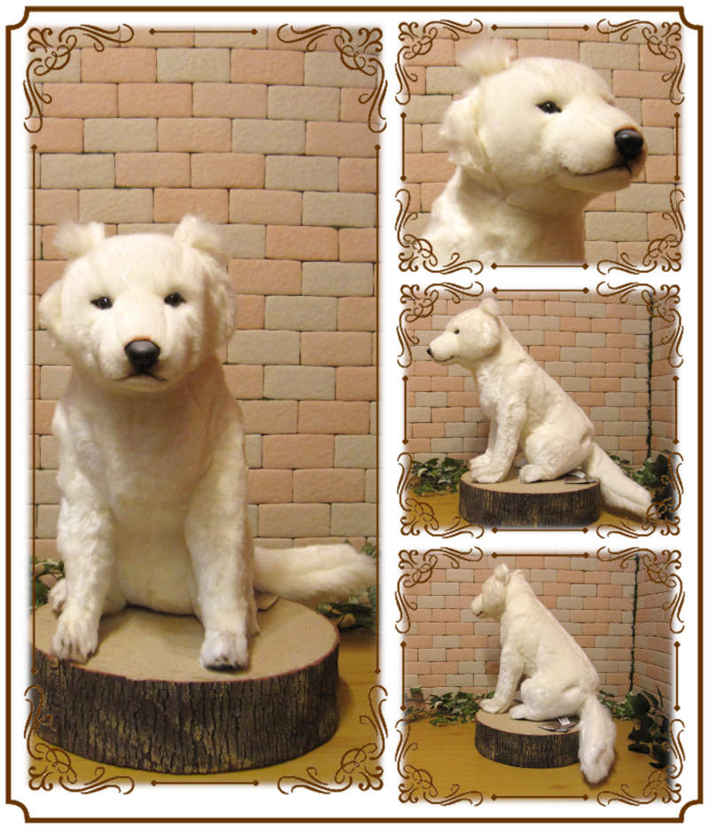 �̳�ƻ�����ӥå����������ꥢ��ʸ��Τ̤�����ߡ��ɥå����֥��������̤���ʪ�����̤Υե����奢������ƥꥢ���ۥå����ɥ�����