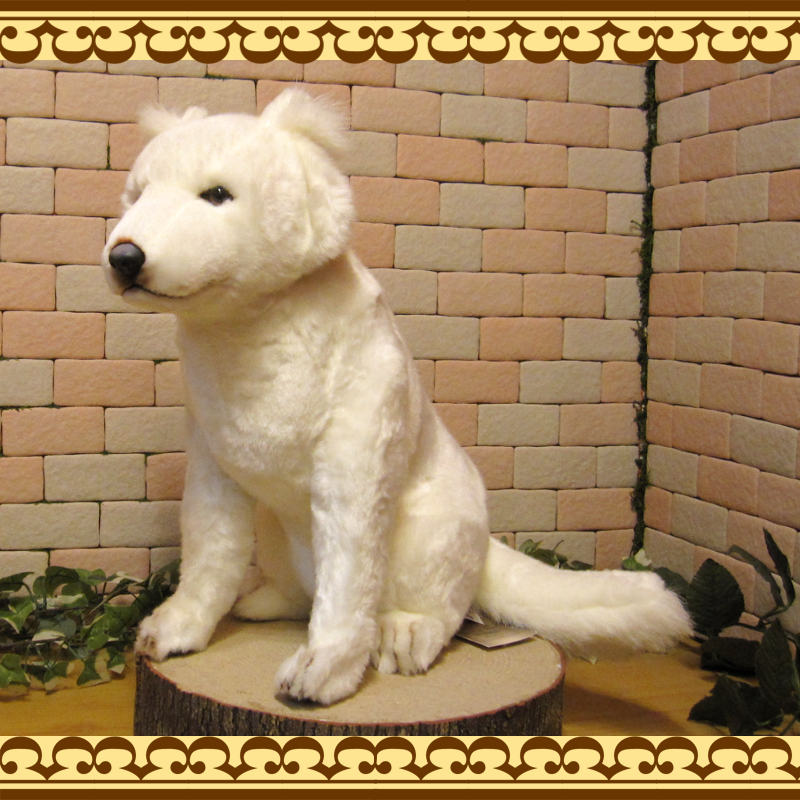 �̳�ƻ�����ӥå����������ꥢ��ʸ��Τ̤�����ߡ��ɥå����֥��������̤���ʪ�����̤Υե����奢������ƥꥢ���ۥå����ɥ�����