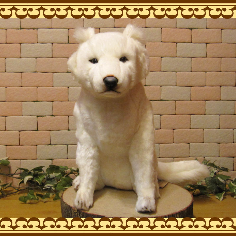 �̳�ƻ�����ӥå����������ꥢ��ʸ��Τ̤�����ߡ��ɥå����֥��������̤���ʪ�����̤Υե����奢������ƥꥢ���ۥå����ɥ�����