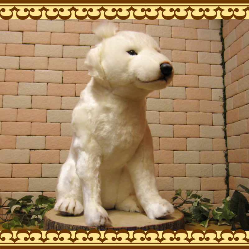 �̳�ƻ�����ӥå����������ꥢ��ʸ��Τ̤�����ߡ��ɥå����֥��������̤���ʪ�����̤Υե����奢������ƥꥢ���ۥå����ɥ�����