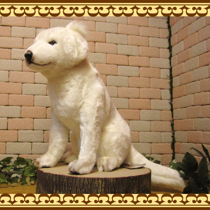 �̳�ƻ�����ӥå����������ꥢ��ʸ��Τ̤�����ߡ��ɥå����֥��������̤���ʪ�����̤Υե����奢������ƥꥢ���ۥå����ɥ�����