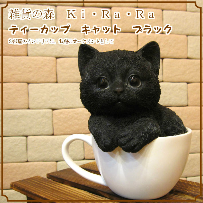 �ꥢ��ʥͥ�����ʪ���٥ӡ�����åȡ��ƥ������åץ���åȡ��֥�å����Ҥͤ��Υե������������ǥ˥󥰡����֥�����������