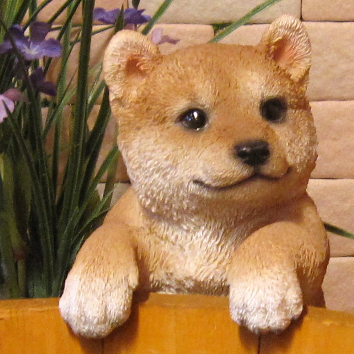 �ꥢ��ʸ�����ʪ���֤餵���ꡡ�Ƹ������̤Υե��������ɥå����֥����������ǥ˥󥰡����������衡���������Υ���ƥꥢ�ˤ����Υ����ʥ��ȤȤ��Ƥ����