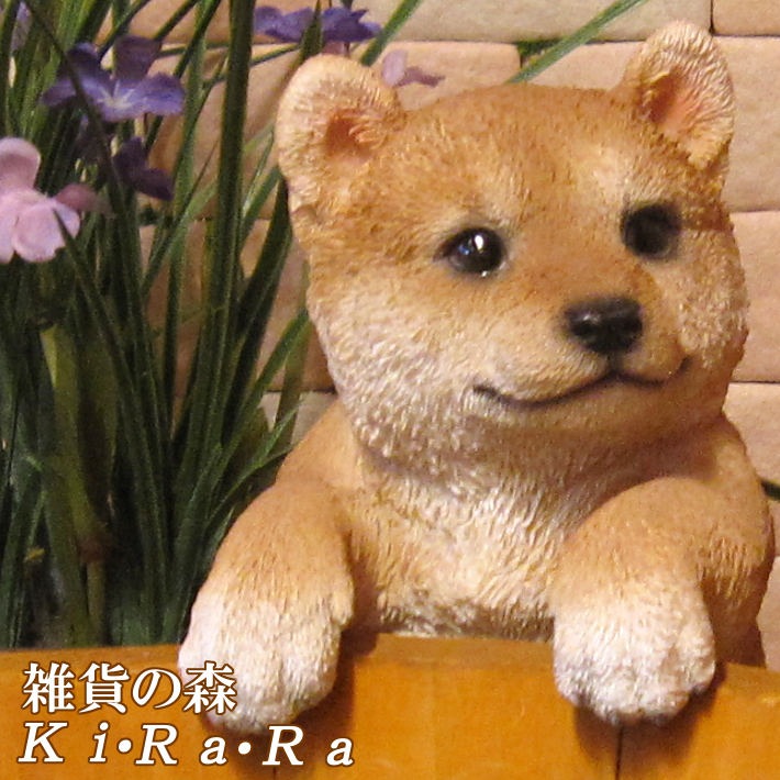 �ꥢ��ʸ�����ʪ���֤餵���ꡡ�Ƹ������̤Υե��������ɥå����֥����������ǥ˥󥰡����������衡���������Υ���ƥꥢ�ˤ����Υ����ʥ��ȤȤ��Ƥ����