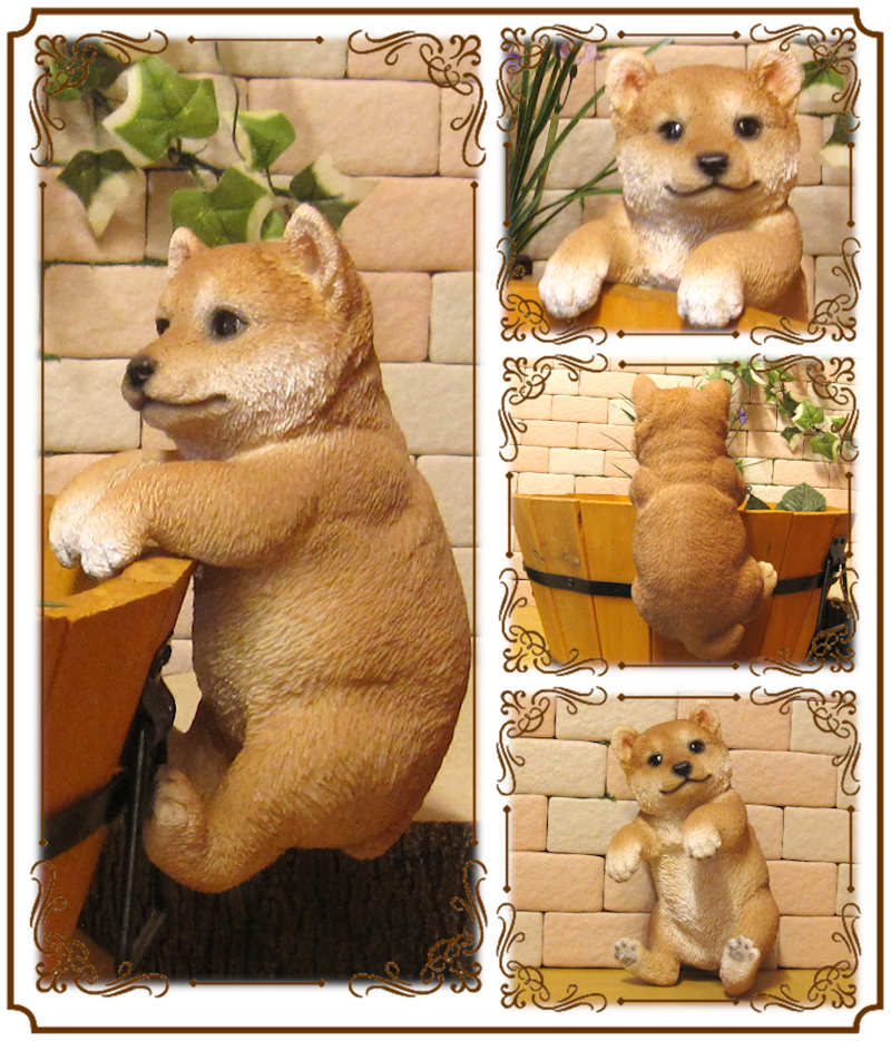 �ꥢ��ʸ�����ʪ���֤餵���ꡡ�Ƹ������̤Υե��������ɥå����֥����������ǥ˥󥰡����������衡���������Υ���ƥꥢ�ˤ����Υ����ʥ��ȤȤ��Ƥ����