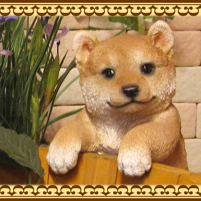 �ꥢ��ʸ�����ʪ���֤餵���ꡡ�Ƹ������̤Υե��������ɥå����֥����������ǥ˥󥰡����������衡���������Υ���ƥꥢ�ˤ����Υ����ʥ��ȤȤ��Ƥ����