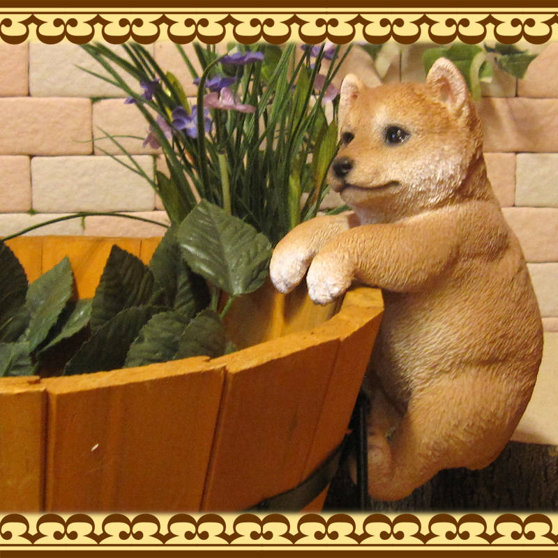 �ꥢ��ʸ�����ʪ���֤餵���ꡡ�Ƹ������̤Υե��������ɥå����֥����������ǥ˥󥰡����������衡���������Υ���ƥꥢ�ˤ����Υ����ʥ��ȤȤ��Ƥ����