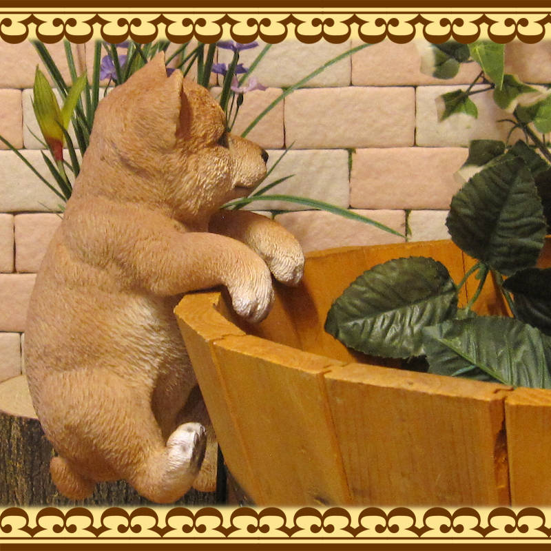 �ꥢ��ʸ�����ʪ���֤餵���ꡡ�Ƹ������̤Υե��������ɥå����֥����������ǥ˥󥰡����������衡���������Υ���ƥꥢ�ˤ����Υ����ʥ��ȤȤ��Ƥ����