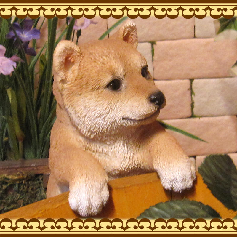 �ꥢ��ʸ�����ʪ���֤餵���ꡡ�Ƹ������̤Υե��������ɥå����֥����������ǥ˥󥰡����������衡���������Υ���ƥꥢ�ˤ����Υ����ʥ��ȤȤ��Ƥ����