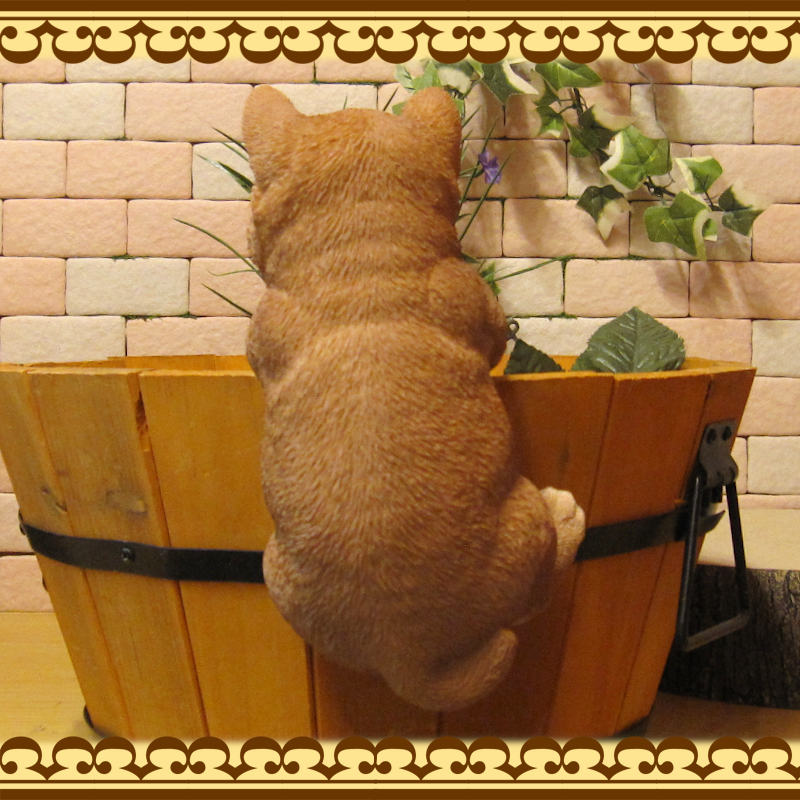 �ꥢ��ʸ�����ʪ���֤餵���ꡡ�Ƹ������̤Υե��������ɥå����֥����������ǥ˥󥰡����������衡���������Υ���ƥꥢ�ˤ����Υ����ʥ��ȤȤ��Ƥ����