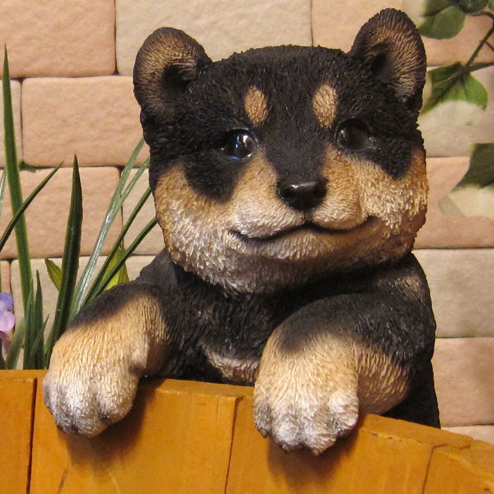 �ꥢ��ʸ�����ʪ���֤餵���ꡡ���ơ����̤Υե��������ɥå����֥����������ǥ˥󥰡����������衡���������Υ���ƥꥢ�ˤ����Υ����ʥ��ȤȤ��Ƥ����