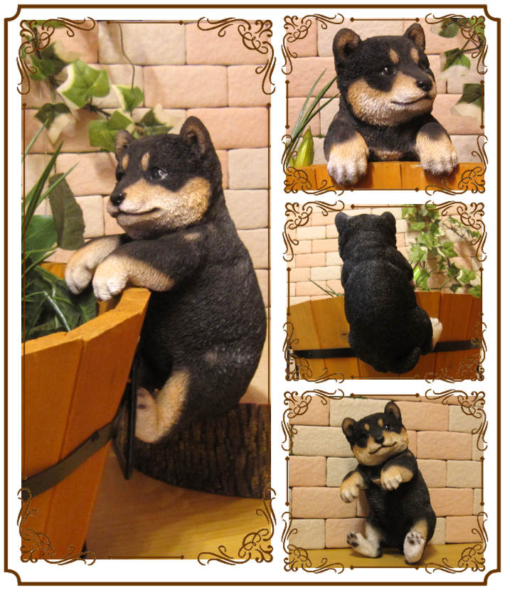 �ꥢ��ʸ�����ʪ���֤餵���ꡡ���ơ����̤Υե��������ɥå����֥����������ǥ˥󥰡����������衡���������Υ���ƥꥢ�ˤ����Υ����ʥ��ȤȤ��Ƥ����